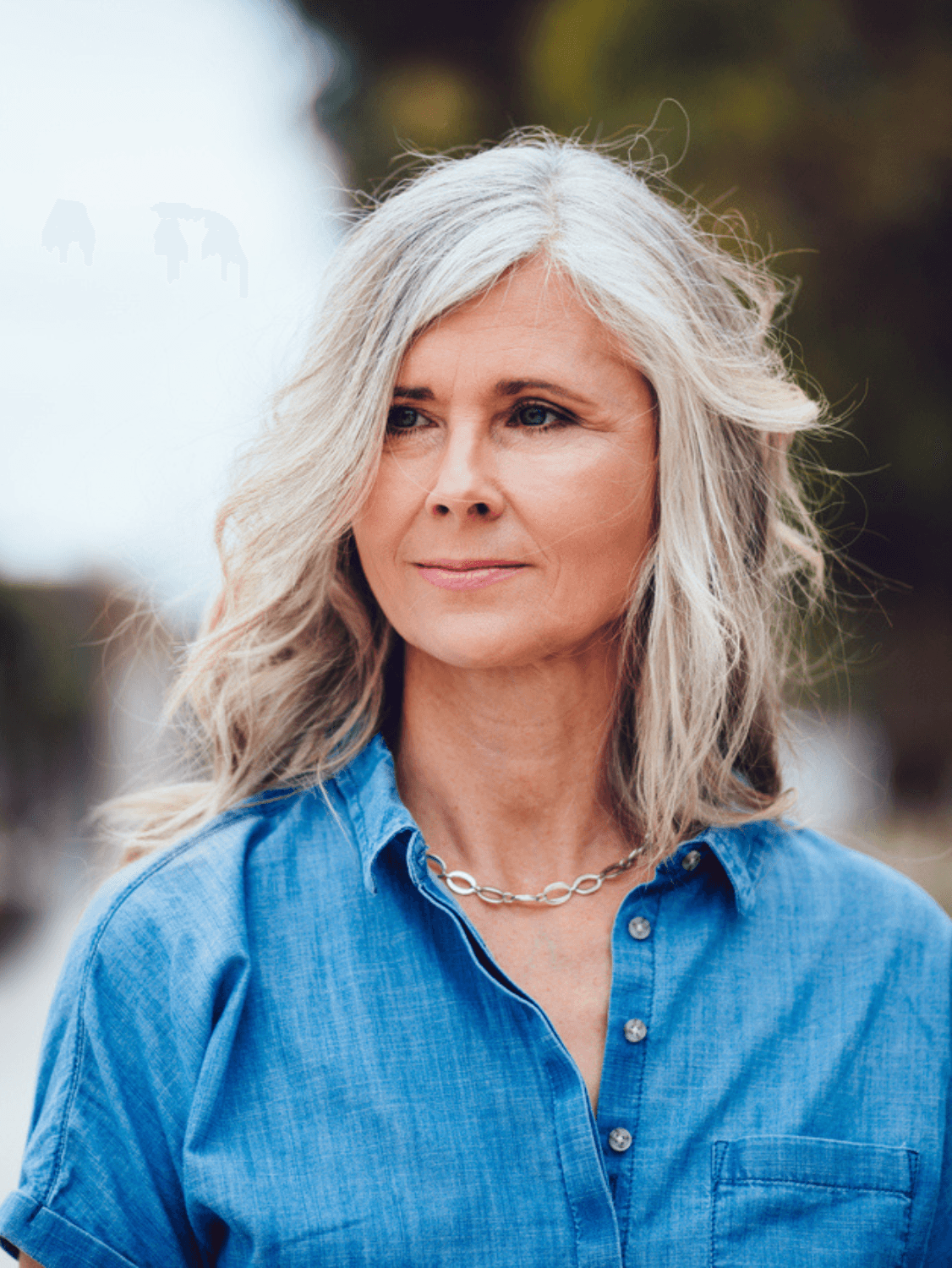 balayage cheveux gris